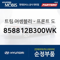 싼타페CM 더스타일 프론트 도어(앞문) 스텝 트림 좌측 (858812B300WK) 싼타페 현대모비스 부품몰