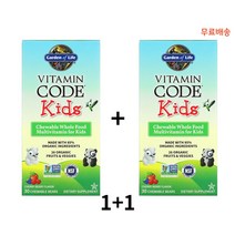 가든오브라이프 Garden of Life 비타민코드 키즈 멀티비타민 체리맛 30츄어블정 X2팩, 1개