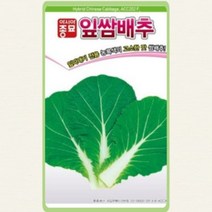 배추씨앗 잎쌈배추(500립)