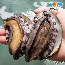 완도맘 생산자직송 활 전복 1kg, 1box, 65g중전복11마리(총715g내외)