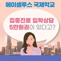집중진로 입학상담 5만원권 에이셀루스 대안학교 대학 졸업장 입학 영어 국제학교 설명회 정식 자녀, 조민템 쿠팡 본상품선택