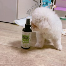 독가 스프레이 30ml 2종 릴렉스 리프레시강아지아로마 펫아로마 펫아로마테라피 애견진정제 강아지진정제 애견스트레스 강아지스트레스해소, 알에스 쿠팡 본상품선택