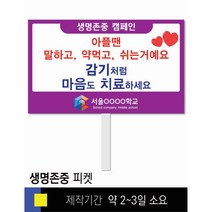 스쿨컴퍼니(도매가격 인쇄쇼핑몰) #7 생명존중 피켓 [피켓 포맥스피켓 손잡이피켓 학교피켓 예방교육 캠페인 홍보 피켓제작], 2. 손잡이 중형 50x30cm(인기)