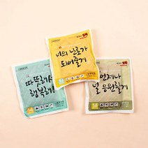 따끈따끈핫팩 (10개세트) _ 2022957EA, 1, 본상품선택
