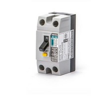 제일전기 산업용 누전차단기 SG-32E 2P 30A, 2개