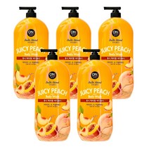 온더바디 후르츠블렌드 쥬시피치 바디워시 1500g, 5개