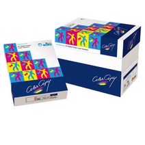 컬러레이저용지A3 120g 250매 NEUSIEDLER, 없음