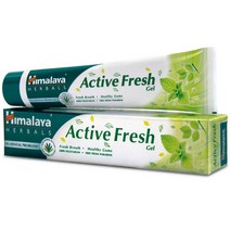 Himalaya 히말라야 Active Fresh Herbal Toothpaste (p/BOX) 치약 100g, 1개