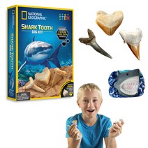 내셔널지오그래픽 화석발굴 상어이빨, NGO화석발굴(대)-상어이빨
