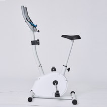 무음 실내용 자전거 헬스사이클 헬스장 가정용 자전거 헬스기구 스피닝 효과 유산소, 클래식 화이트