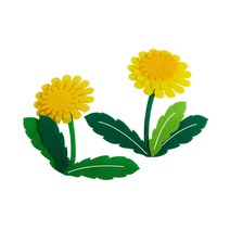 펠트 민들레꽃