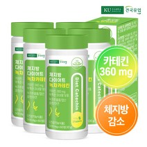 [건국] 체지방 다이어트 녹차카테킨 60정x5개(5개월)