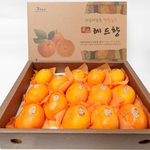 룰루네상점 제주 레드향 3kg 로얄과(13과 내외) 선물포장 고당도 서귀포 감귤