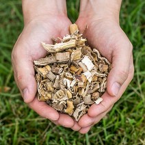 국산 말린 갈대뿌리(노근) 200gX2 차 건조 건 한방 국내산, 16GK_국산 갈대뿌리(노근) 200gX2