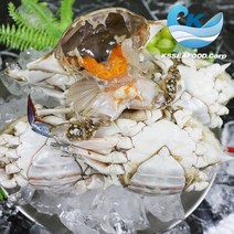 [산지직송] 알배기 몽당꽃게 알배기 절단꽃게 최상급 숫몽당 숫절단, 최상급 숫몽당 꽃게, 5kg