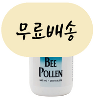 소스 내추럴스 미국정품보장 비 폴렌 500mg 250정, 1개, 250개