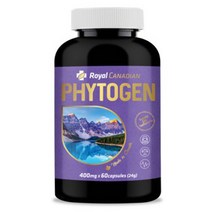 로얄캐네디언 캐나다 Renu Bio 파이토젠 건강기능식품 400mg 60캡슐, 60정, 24g, 1개