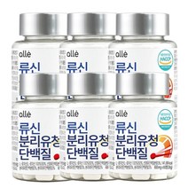 류신 타블렛 단백질 분리유청 60정, 6개