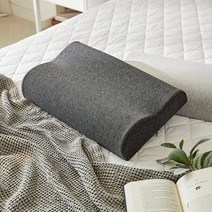 모던하우스분당점WOW 커버가 있는 컨투어 메모리폼 베개 DARK GRAY 50x30 FP1322004, 50 x 30cm x 10cm (+/-3cm)