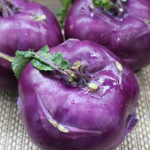 [팔도농장] 아삭 달콤한 햇 콜라비 10kg, 단품