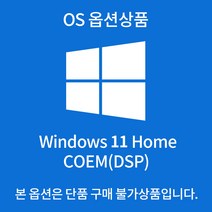 Windows 11 Home 설치 발송 - 옵션상품