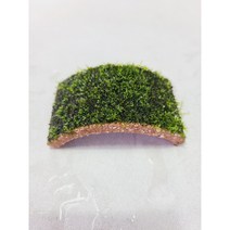 새우오작교/동굴/프리미엄 모스활착 [체리새우/crs새우/생이새우키우기] 애완관상용새우놀이터, 새우구름다리(대)+프리미엄모스 활착