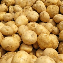 감자 수미 햇 못난이 왕특 특 20kg 10kg 5kg, 못난이 10kg 특(100~140g)내외