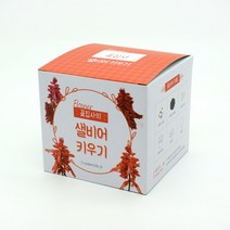아트박스/틔움세상 꽃집사 _ 샐비어 키우기, 본품