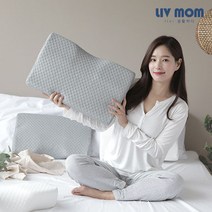 리브맘 3D 메모리폼 누빔 경추베개 커버