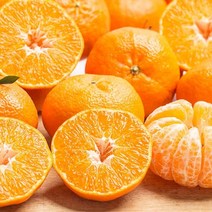 바른식탁 레드향 선물세트 4.5kg 22과내외, 1