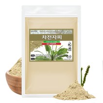 차전자피 가루 분말 질경이씨앗껍질 500g