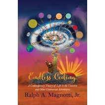 (영문도서) Endless Ceiling Hardcover, Blue Dragon Publishing, LLC, English, 9781939696731
