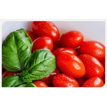 스테비아 방울토마토 1kg (Stevia cherry tomato)