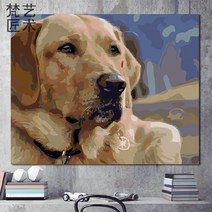 유화그리기DIY 골든 리트리버 그림장식 인테리어 색칠