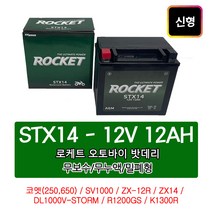 오토바이밧데리 12V12AH 코멧(250 650) SV1000