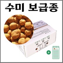 강원도 수미 씨감자 4kg 10kg 20kg + 농사친구 재배안내장 세트, 02. 수미감자씨 10kg + 농사친구안내장