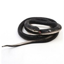 파티해 리얼 뱀 모형 검정, 1개