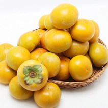[산지직송] 경남 창원 북면단감 3kg (10∼12과), 단일속성