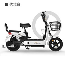 2인승 전기자전거 48V 20ah 자녀통학 장보기 나들이, 화이트