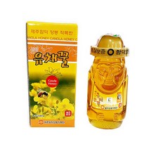 제주 유채꿀 580g, 1개, 단품