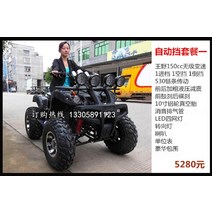 마카롱 ATV 4륜 오토바이 사발이 다목적 운반차 트레일러 빅 불 ATV 크로스 컨트리 산악 오토바이 125-300cc 구동 자동 변속기 샤프트 변속기, 자동 변속기 패키지 1