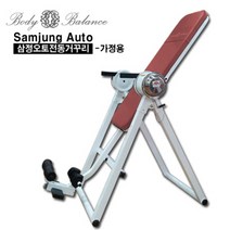 [삼정오토]국산가정용 전동거꾸리 바디밸런스 SB-2000, 단품
