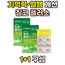 기억력에좋은 은행잎추출물 영양제 음식 징코 플러스 면역력 멀티 비타민 B군 판토텐산 나이아신 철분 추천 종합 아연 혈행 개선 플라보놀배당체 셀렌 구리 마그네슘 해조 칼슘 망간