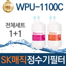 SK매직 WPU-1100C 고품질 정수기 필터 호환 전체세트, 선택02_1년관리세트(3+1=4개)