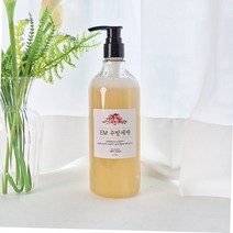 투베이스 친환경 EM 설거지 천연 주방세제 만들기 화장품 키트 500ml, 1개