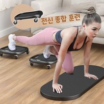 세계일주 2P복근휠 실내운동기구 다이어트신기 운동기구BS-T5D, 핑크, 2P