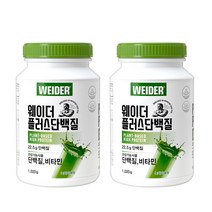 웨이더 플러스 단백질 1020g 프로틴 쉐이크 단백질 보충제, 2개, 녹차라떼