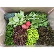 <해돋이농산> 꽃상추 특품 2kg, 꽃상추1박스(2kg)