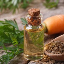 새로핸즈 천연 아로마 에센셜오일 캐롯씨드 당근씨오일 10ml, 단품