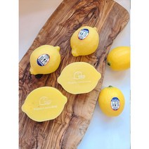 레몬비누만들기, 베이스+유기농오일+레몬몰드+레몬청